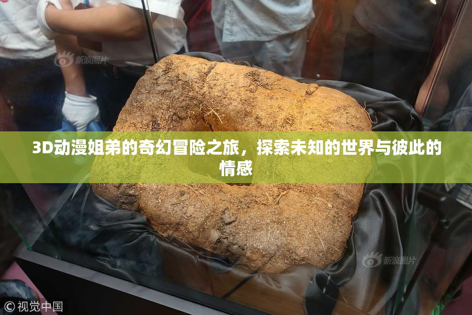 3D动漫姐弟的奇幻冒险之旅，探索未知的世界与彼此的情感