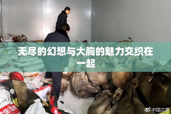 无尽的幻想与大胸的魅力交织在一起