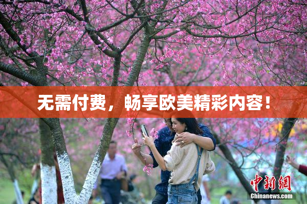 无需付费，畅享欧美精彩内容！