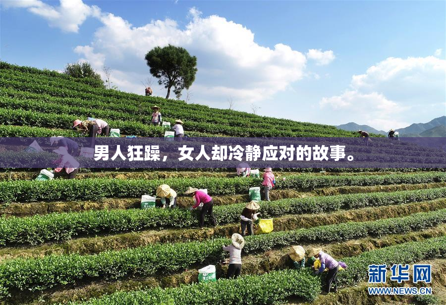 男人狂躁，女人却冷静应对的故事。