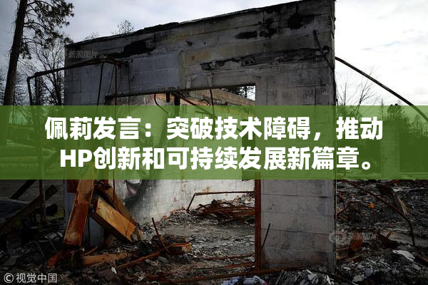 佩莉发言：突破技术障碍，推动HP创新和可持续发展新篇章。