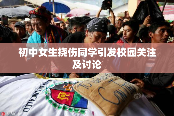 初中女生挠伤同学引发校园关注及讨论