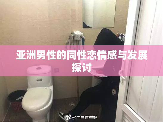 亚洲男性的同性恋情感与发展探讨