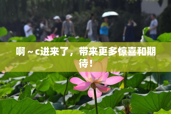 啊～c进来了，带来更多惊喜和期待！
