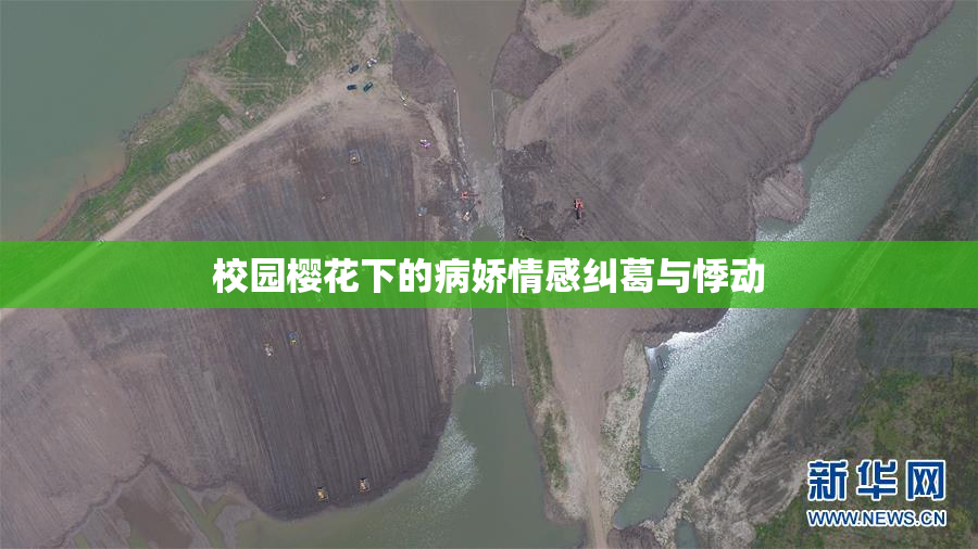 校园樱花下的病娇情感纠葛与悸动