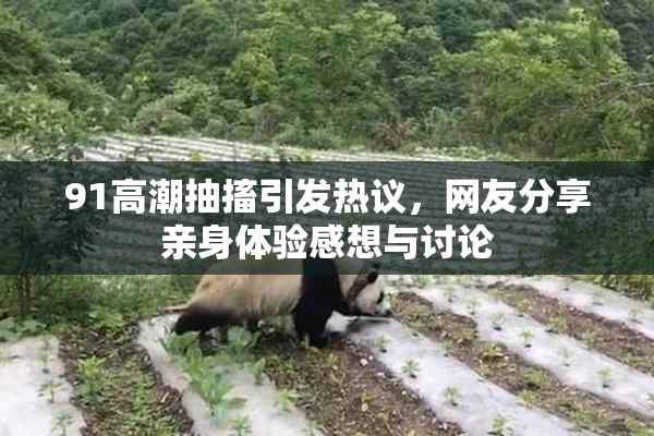 91高潮抽搐引发热议，网友分享亲身体验感想与讨论