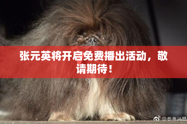 张元英将开启免费播出活动，敬请期待！
