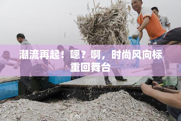 潮流再起！嗯？啊，时尚风向标重回舞台