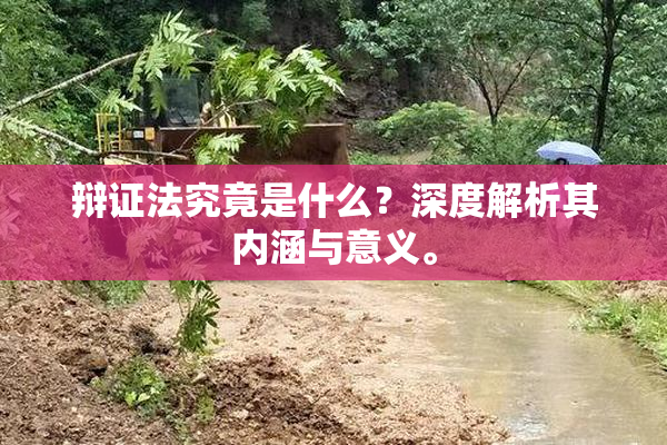 辩证法究竟是什么？深度解析其内涵与意义。
