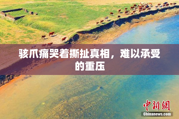 骇爪痛哭着撕扯真相，难以承受的重压