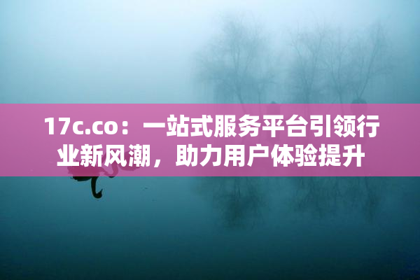 17c.co：一站式服务平台引领行业新风潮，助力用户体验提升