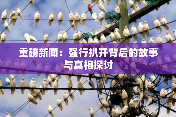 重磅新闻：强行扒开背后的故事与真相探讨