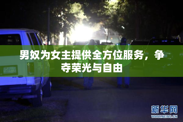 男奴为女主提供全方位服务，争夺荣光与自由