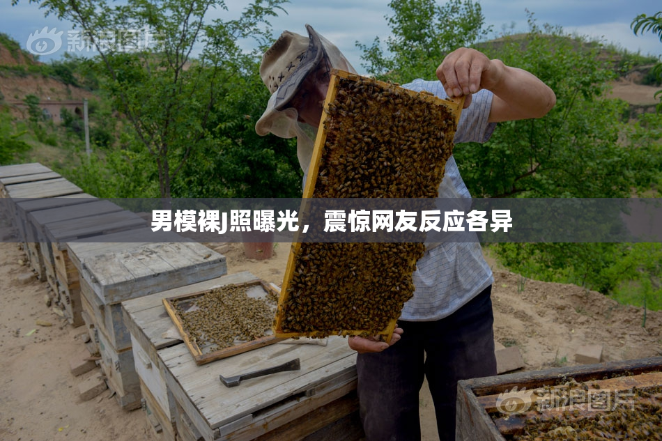 男模裸J照曝光，震惊网友反应各异