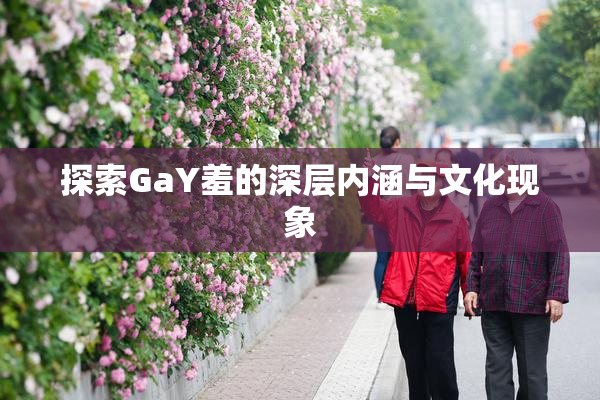 探索GaY羞的深层内涵与文化现象
