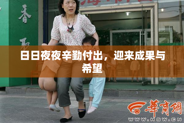 日日夜夜辛勤付出，迎来成果与希望