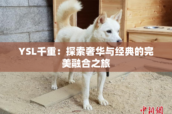 YSL千重：探索奢华与经典的完美融合之旅