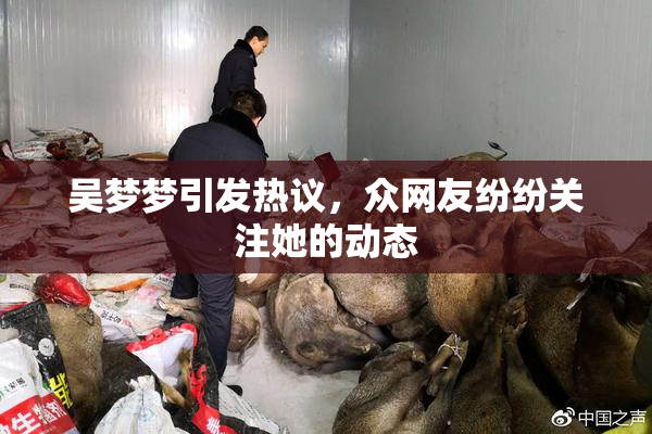 吴梦梦引发热议，众网友纷纷关注她的动态