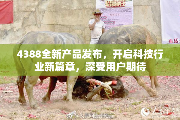 4388全新产品发布，开启科技行业新篇章，深受用户期待