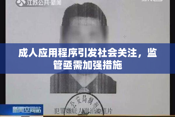 成人应用程序引发社会关注，监管亟需加强措施