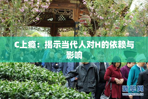 C上瘾：揭示当代人对H的依赖与影响