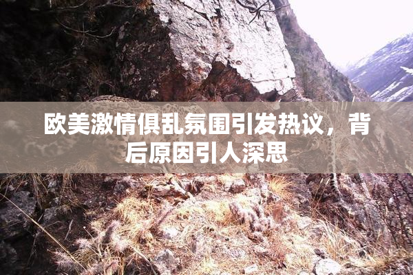 欧美激情俱乱氛围引发热议，背后原因引人深思