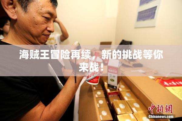 海贼王冒险再续，新的挑战等你来战！