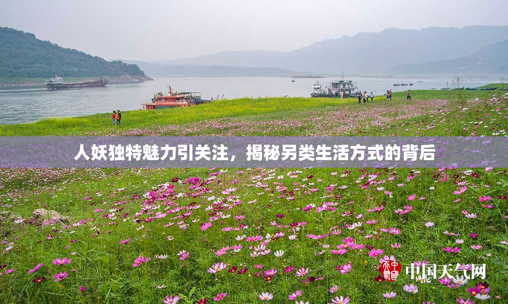 人妖独特魅力引关注，揭秘另类生活方式的背后