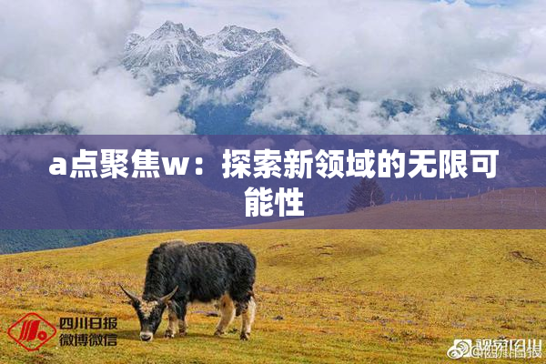 a点聚焦w：探索新领域的无限可能性