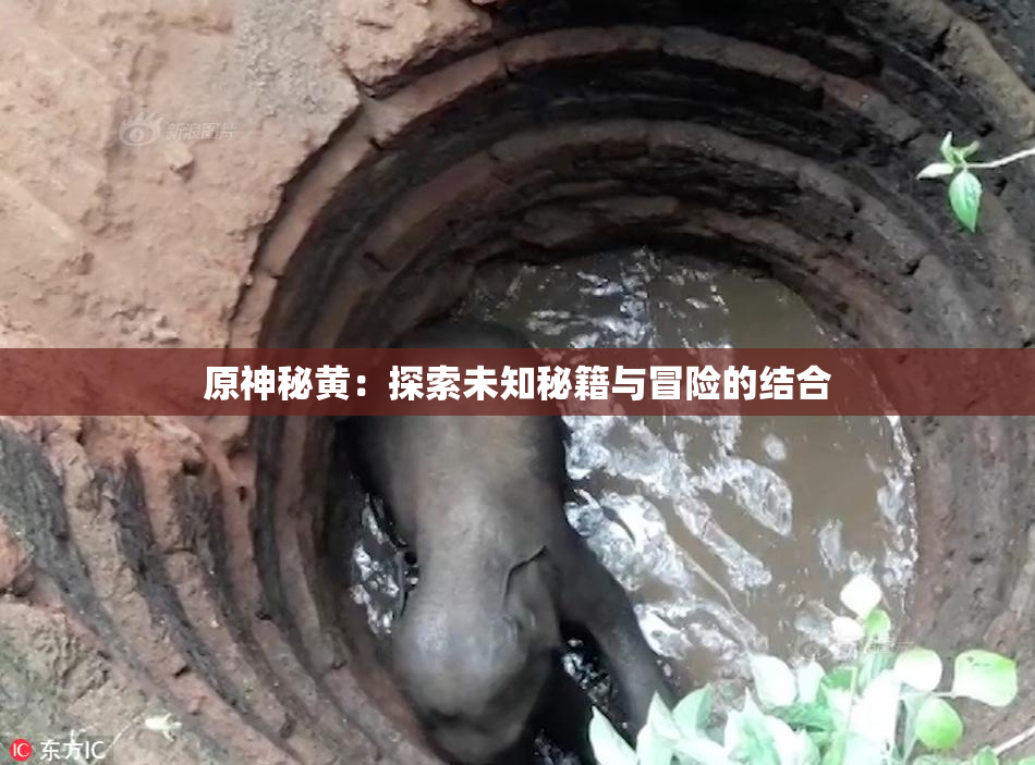 原神秘黄：探索未知秘籍与冒险的结合