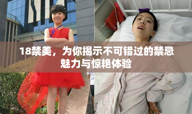 18禁美，为你揭示不可错过的禁忌魅力与惊艳体验