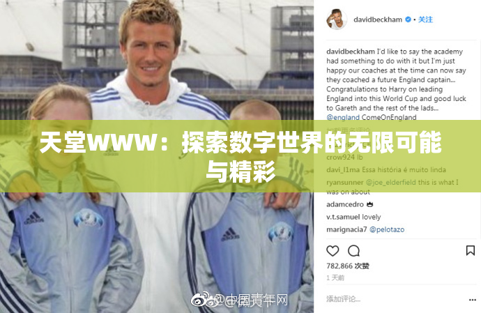 天堂WWW：探索数字世界的无限可能与精彩