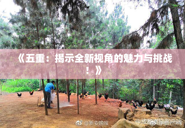 《五重：揭示全新视角的魅力与挑战！》