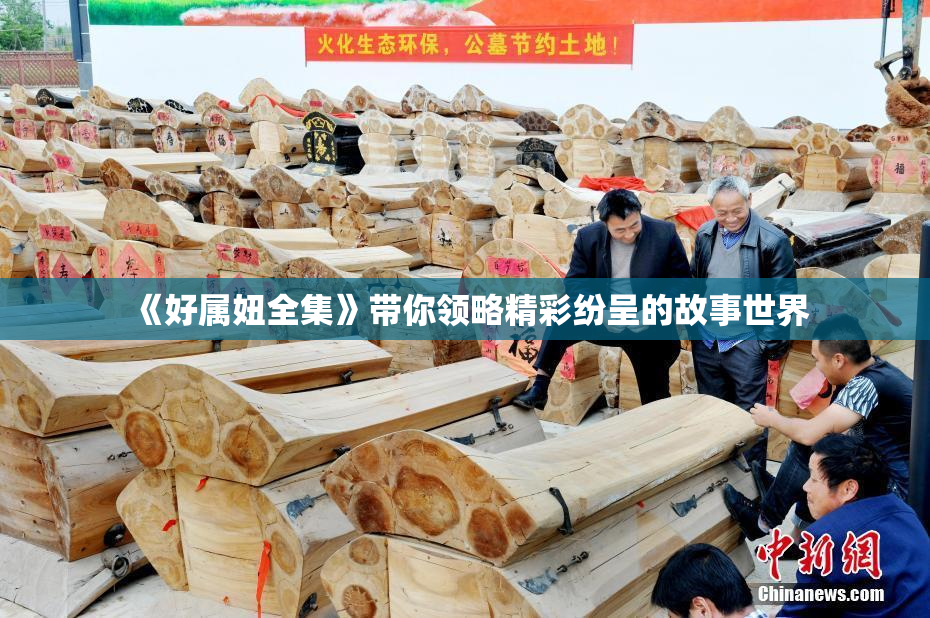 《好属妞全集》带你领略精彩纷呈的故事世界