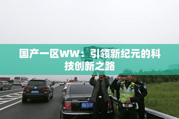 国产一区WW：引领新纪元的科技创新之路