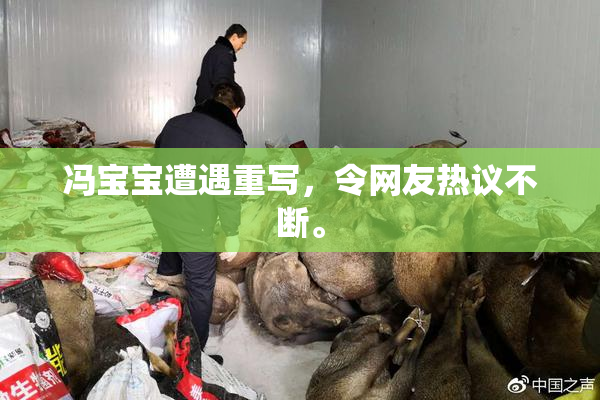 冯宝宝遭遇重写，令网友热议不断。
