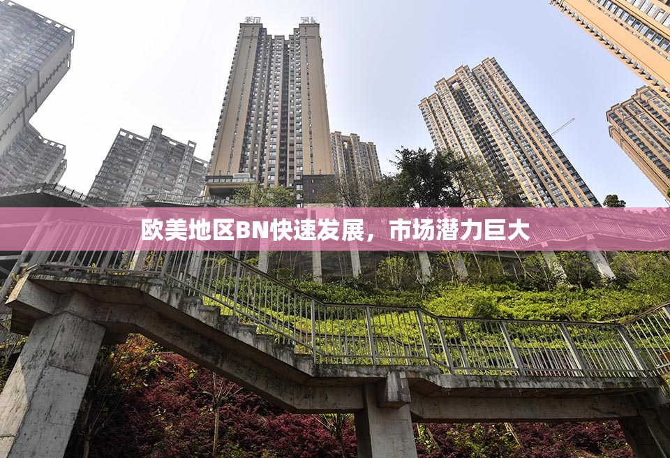 欧美地区BN快速发展，市场潜力巨大