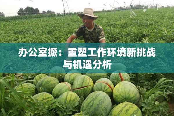 办公室撅：重塑工作环境新挑战与机遇分析