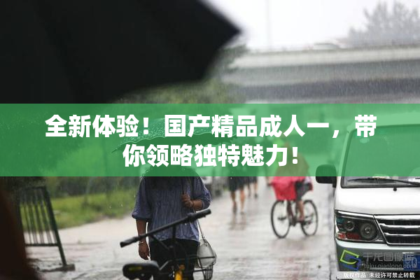 全新体验！国产精品成人一，带你领略独特魅力！