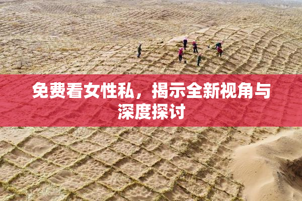 免费看女性私，揭示全新视角与深度探讨