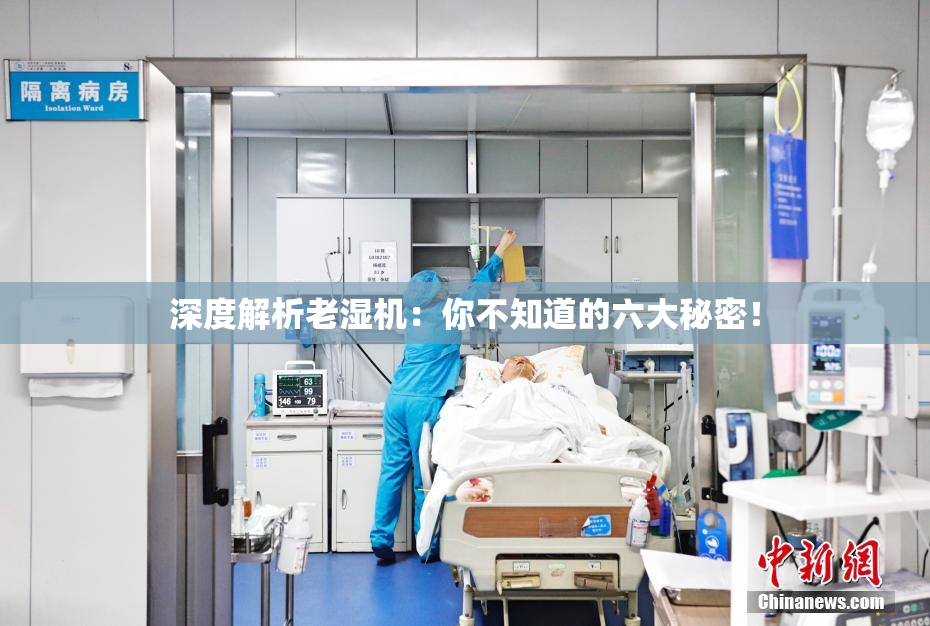 深度解析老湿机：你不知道的六大秘密！