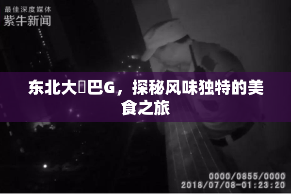 东北大鷄巴G，探秘风味独特的美食之旅