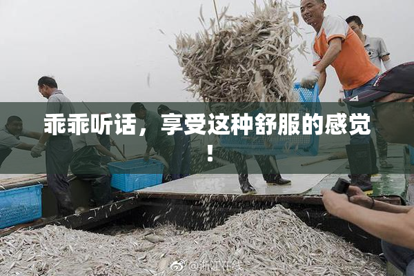 乖乖听话，享受这种舒服的感觉！