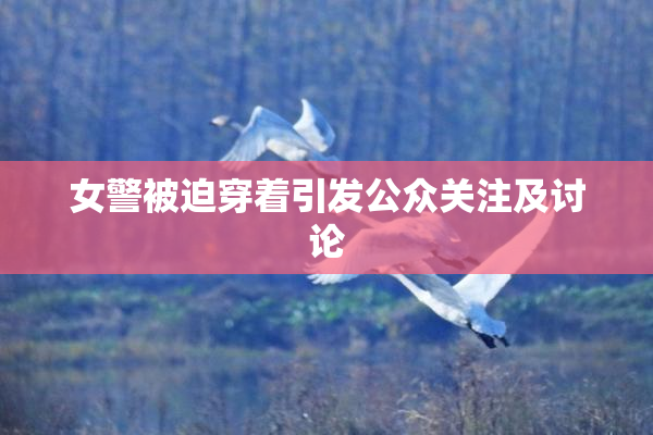 女警被迫穿着引发公众关注及讨论