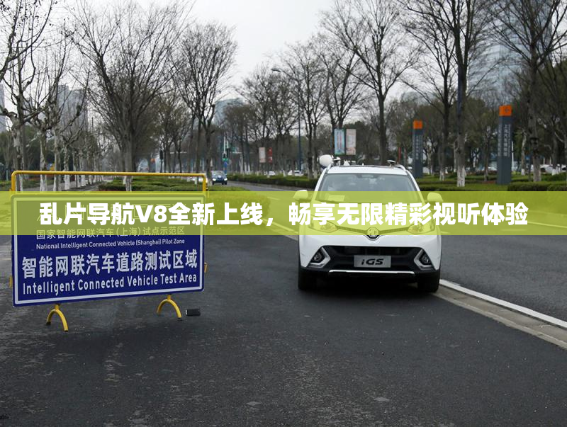 乱片导航V8全新上线，畅享无限精彩视听体验