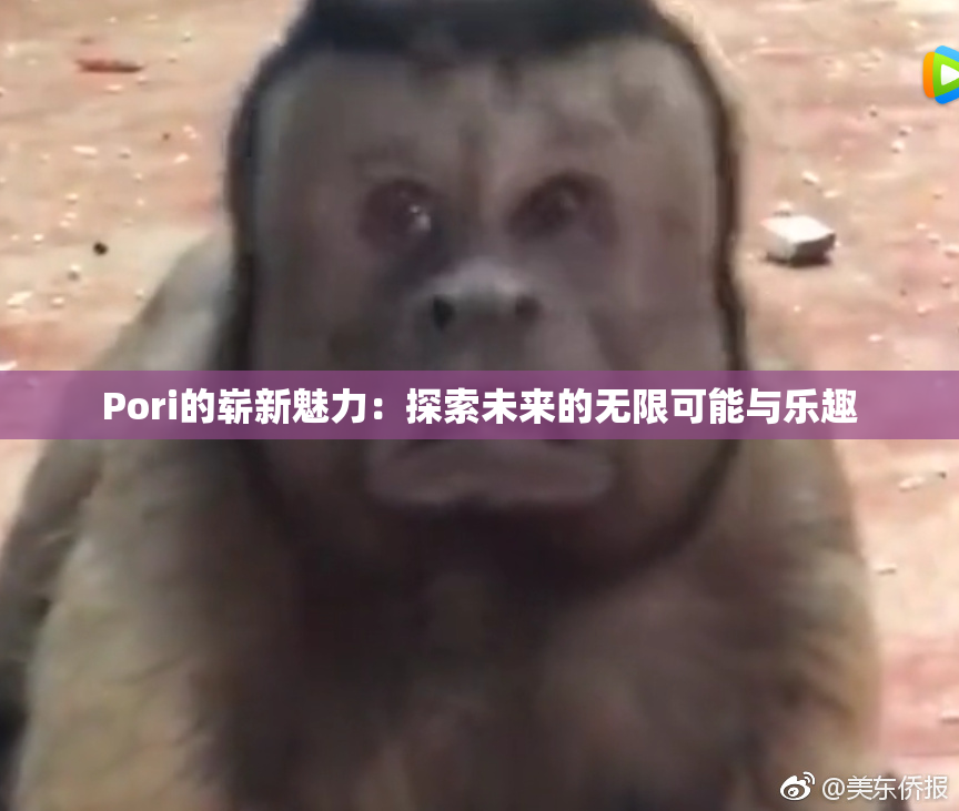 Pori的崭新魅力：探索未来的无限可能与乐趣