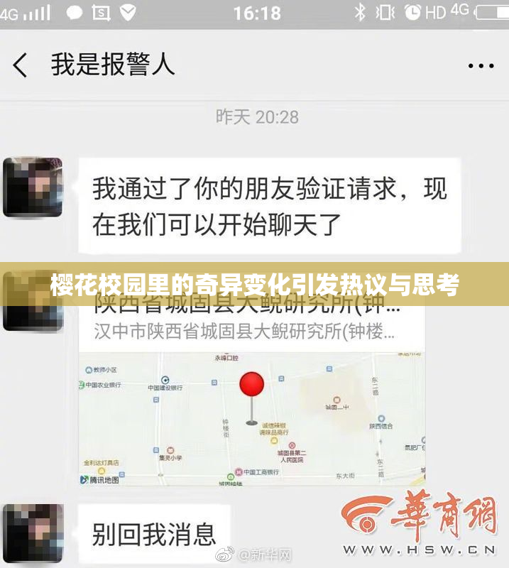 樱花校园里的奇异变化引发热议与思考