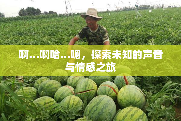 啊…啊哈…嗯，探索未知的声音与情感之旅