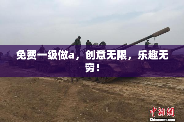 免费一级做a，创意无限，乐趣无穷！