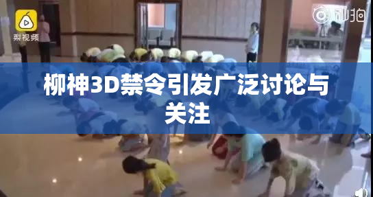 柳神3D禁令引发广泛讨论与关注